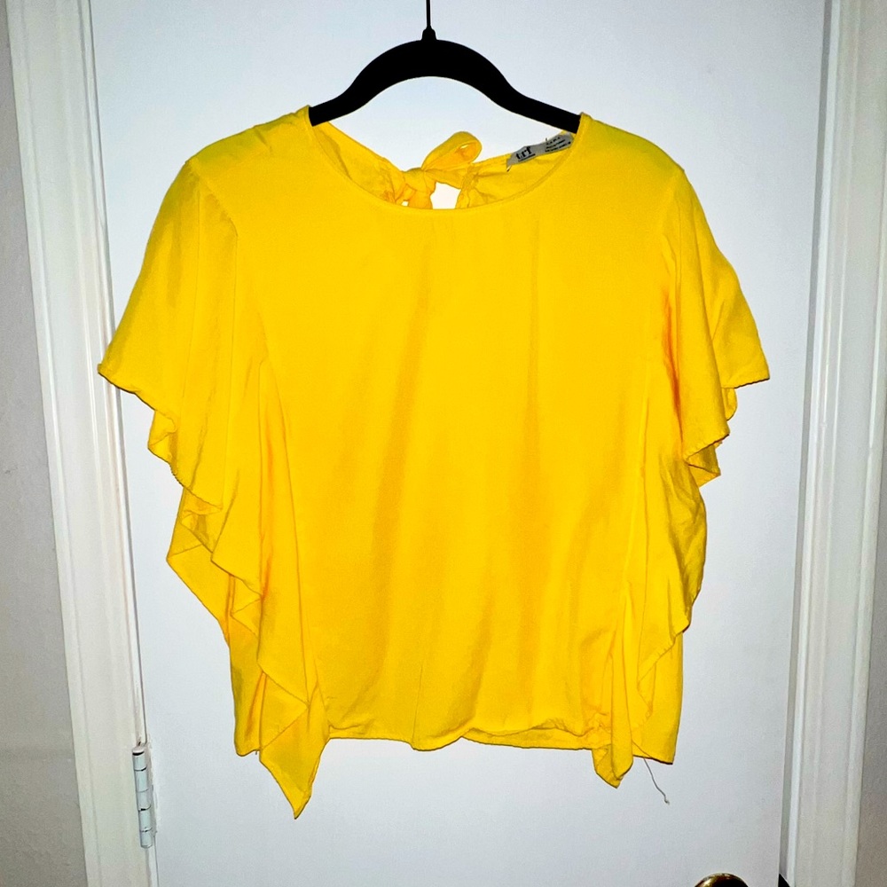 Zara top with ruffle along sleeve and down side. Size Medium